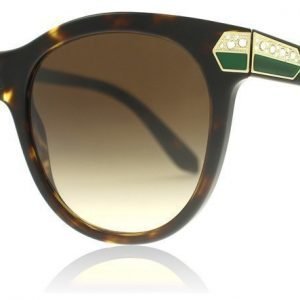 Bvlgari 8185B 504/13 Havanna Aurinkolasit