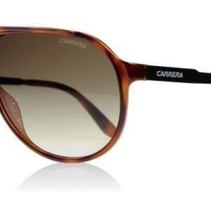 Carrera New Champion 8F8 Tumma havana Aurinkolasit