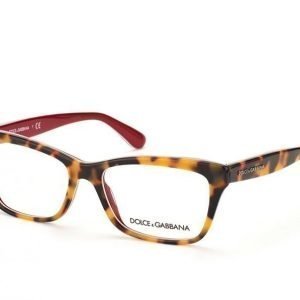 Dolce & Gabbana DG 3215 2893 Silmälasit