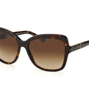 Dolce & Gabbana DG 4244 502/13 Aurinkolasit