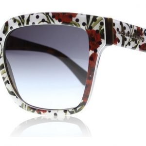 Dolce and Gabbana 4234 29778G Neilikka Aurinkolasit