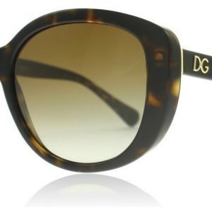 Dolce and Gabbana 4248 502/T5 Havanna Aurinkolasit