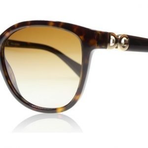 Dolce and Gabbana 4258 502/T5 Tumma Havana Aurinkolasit