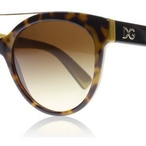 Dolce and Gabbana 4280 295613 Havanna Aurinkolasit