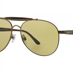 Giorgio Armani AR6022 30174C Photochromic Aurinkolasit