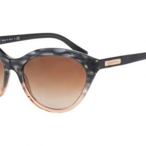 Giorgio Armani AR8033 523613 Aurinkolasit