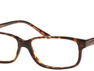 Kam Dhillon KD3805-Brown silmälasit