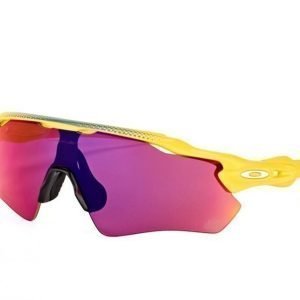 Oakley Radar Path OO 9208 43 Aurinkolasit