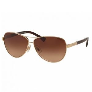 Ralph Lauren Essentials Ra4116 Aurinkolasit Gold / Dark Tortoise