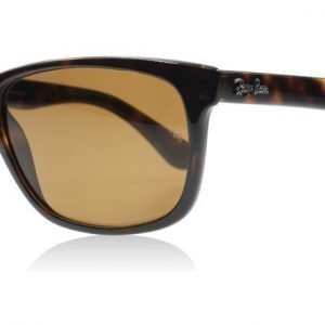 Ray-Ban 4181 710/83 Kilpikonna Aurinkolasit