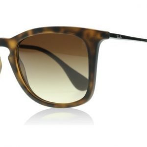 Ray-Ban 4221 865/13 Kilpikonna Aurinkolasit