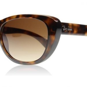 Ray-Ban 4227 710/13 Kilpikonna Aurinkolasit