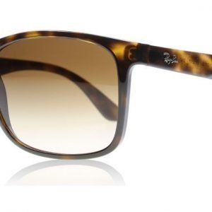 Ray-Ban 4232 710/13 Kilpikonna Aurinkolasit