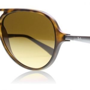 Ray-Ban 4235 894/85 Kilpikonna Aurinkolasit