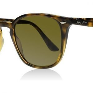 Ray-Ban 4258 710-73 Kilpikonna Aurinkolasit