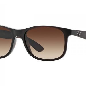 Ray-Ban Andy RB4202 607313 Aurinkolasit