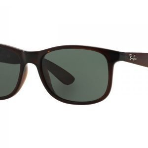 Ray-Ban Andy RB4202 714/71 Aurinkolasit