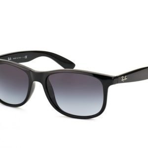 Ray-Ban Andy rb4202 601/8G Aurinkolasit