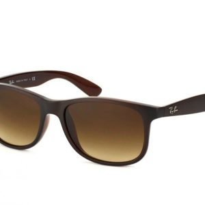 Ray-Ban Andy rb4202 607313 Aurinkolasit