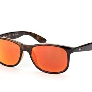 Ray-Ban Andy rb4202 710/6S Aurinkolasit