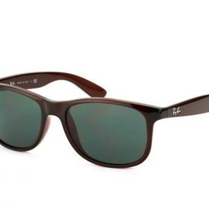 Ray-Ban Andy rb4202 714/71 Aurinkolasit