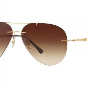 Ray-Ban Aviator Light Ray RB8055 157/13 Aurinkolasit