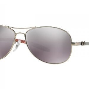 Ray-Ban Carbon Fibre RB8301 019/N8 Aurinkolasit