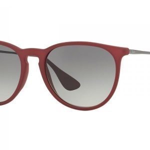 Ray-Ban Erika Color Mix RB4171 600111 Aurinkolasit