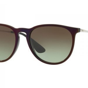 Ray-Ban Erika RB4171 6316E8 Aurinkolasit