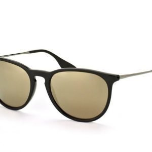 Ray-Ban Erika rb4171 601/5A Aurinkolasit