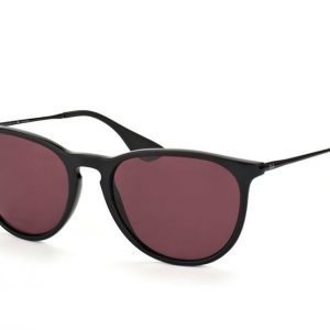 Ray-Ban Erika rb4171 601/5Q Aurinkolasit