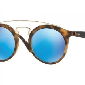 Ray-Ban Gatsby I RB4256 609255 Aurinkolasit