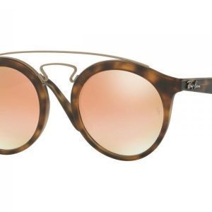 Ray-Ban Gatsby I RB4256 6267B9 Aurinkolasit