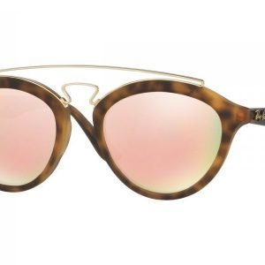 Ray-Ban Gatsby II RB4257 60922Y Aurinkolasit