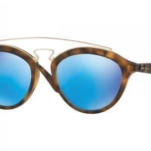 Ray-Ban Gatsby II RB4257 609255 Aurinkolasit