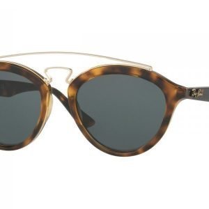 Ray-Ban Gatsby II RB4257 710/71 Aurinkolasit