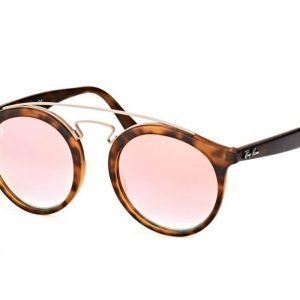 Ray-Ban Gatsby RB 4256 6267/B9 large Aurinkolasit