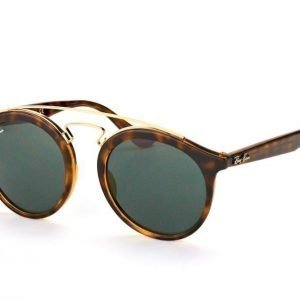 Ray-Ban Gatsby RB 4256 710/71 large Aurinkolasit