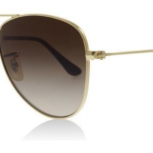 Ray-Ban Junior RJ9506S 223/13 Kulta Aurinkolasit