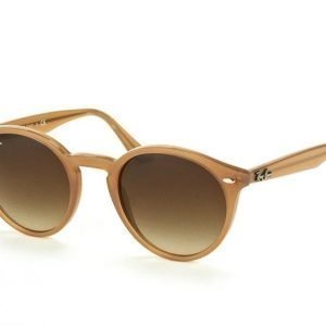 Ray-Ban RB 2180 6166/13 aurinkolasit