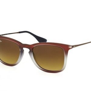 Ray-Ban RB 4221 6224/13 aurinkolasit