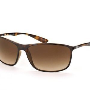 Ray-Ban RB 4231 710/13 aurinkolasit