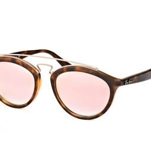 Ray-Ban RB 4257 6267/B9 large Aurinkolasit