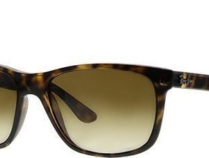 Ray-Ban RB4181-710/51 aurinkolasit