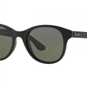 Ray-Ban RB4203 601/58 Aurinkolasit