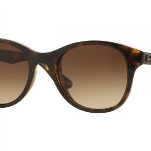 Ray-Ban RB4203 710/13 Aurinkolasit