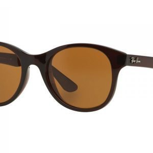 Ray-Ban RB4203 714 Aurinkolasit