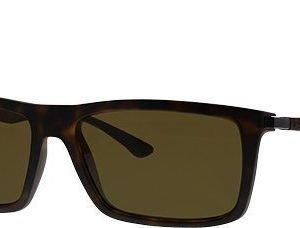 Ray-Ban RB4214-609283 aurinkolasit