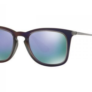 Ray-Ban RB4221 61684V Aurinkolasit