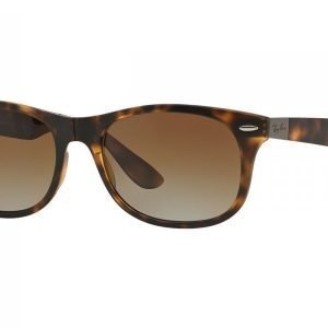 Ray-Ban RB4223 894/T5 Aurinkolasit